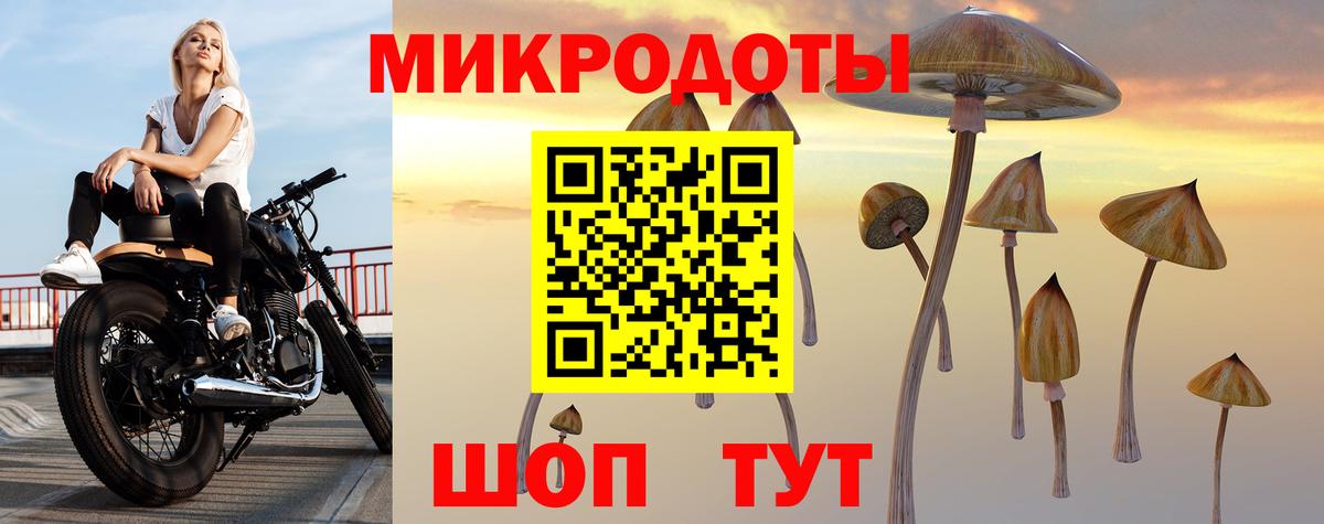 Краснодар  Галлюциногенные грибы GOLDEN TEACHER  Вход с VPN  наркота  Галлюциногенные грибы Magic Shrooms 