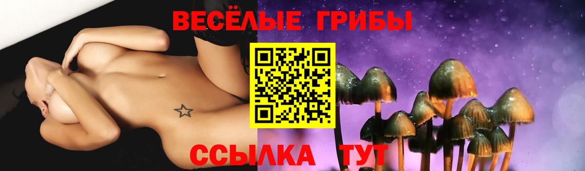 Псилоцибиновые грибы Cubensis Краснодар